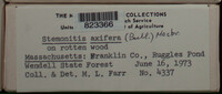 Image Associated With the Occurence